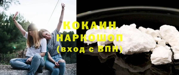 прущие грибы Балахна