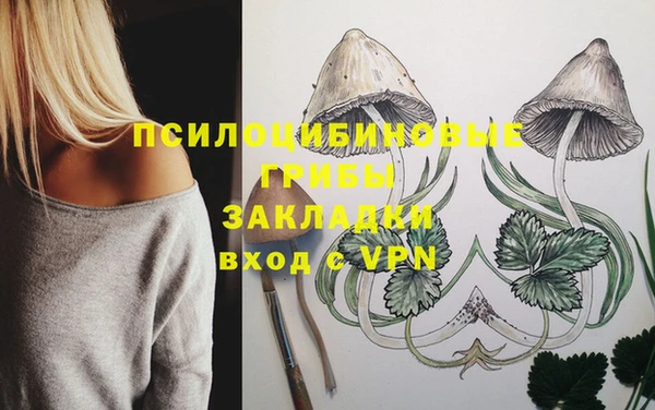 альфа пвп Белокуриха