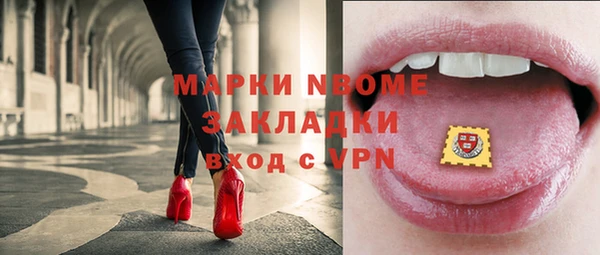 прущие грибы Балахна