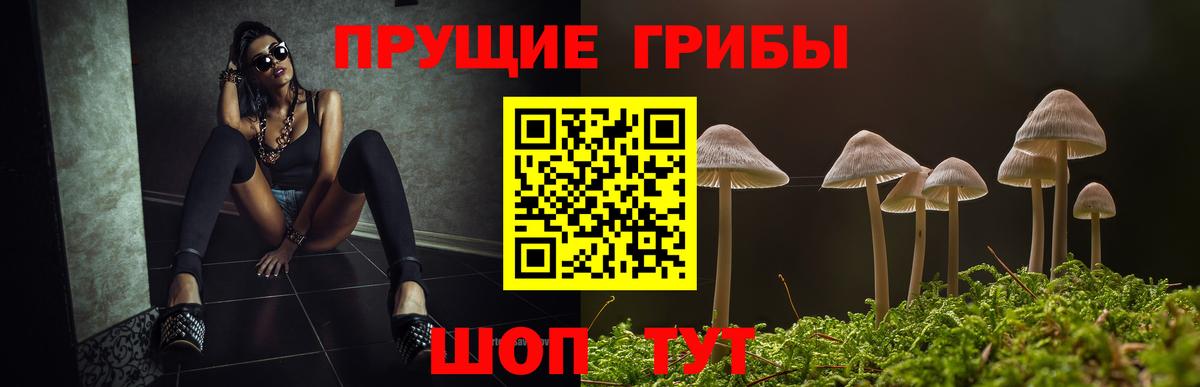 Галлюциногенные грибы Cubensis Печора